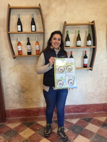 quinta casal do conde